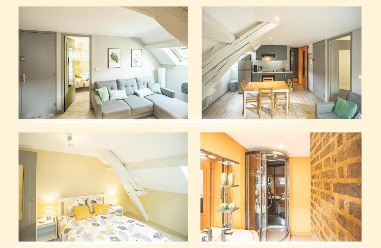 Le Cosy Tannerie - Hypercentre - Climatise Apartman Troyes Kültér fotó